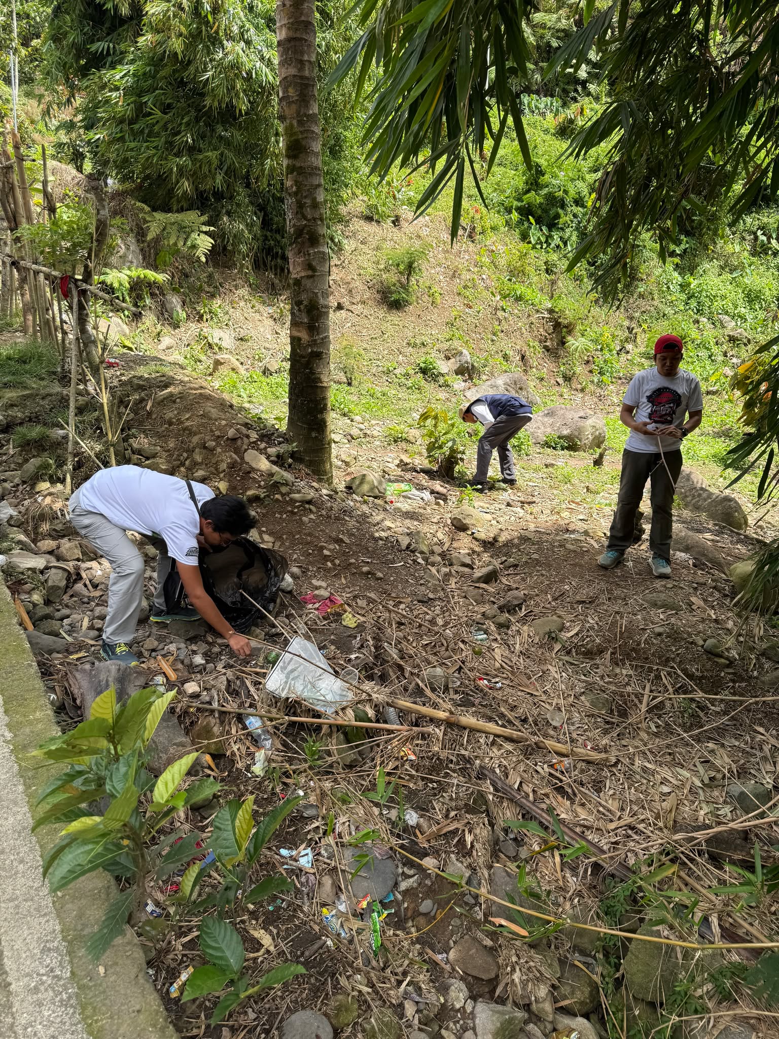 RTC-KPVTC, Davao Actively Participates in Tree Planting and Clean-Up ...